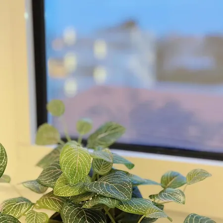 Downtown A Whole House Duplex Designed For Remote Work And Near Metro Lapa Konukevi Porto