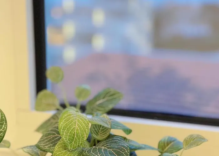 Downtown A Whole House Duplex Designed For Remote Work And Near Metro Lapa Guest house Porto